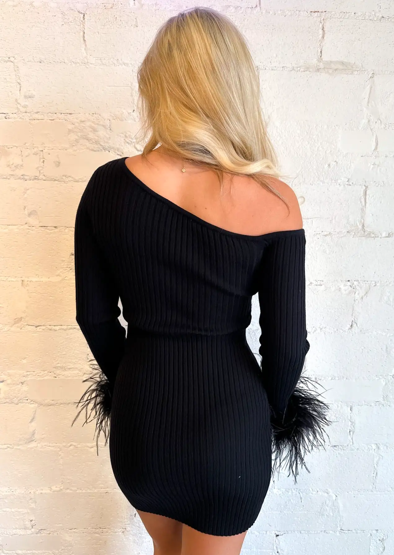 Liz Off Shoulder Feather Trim Mini Dress