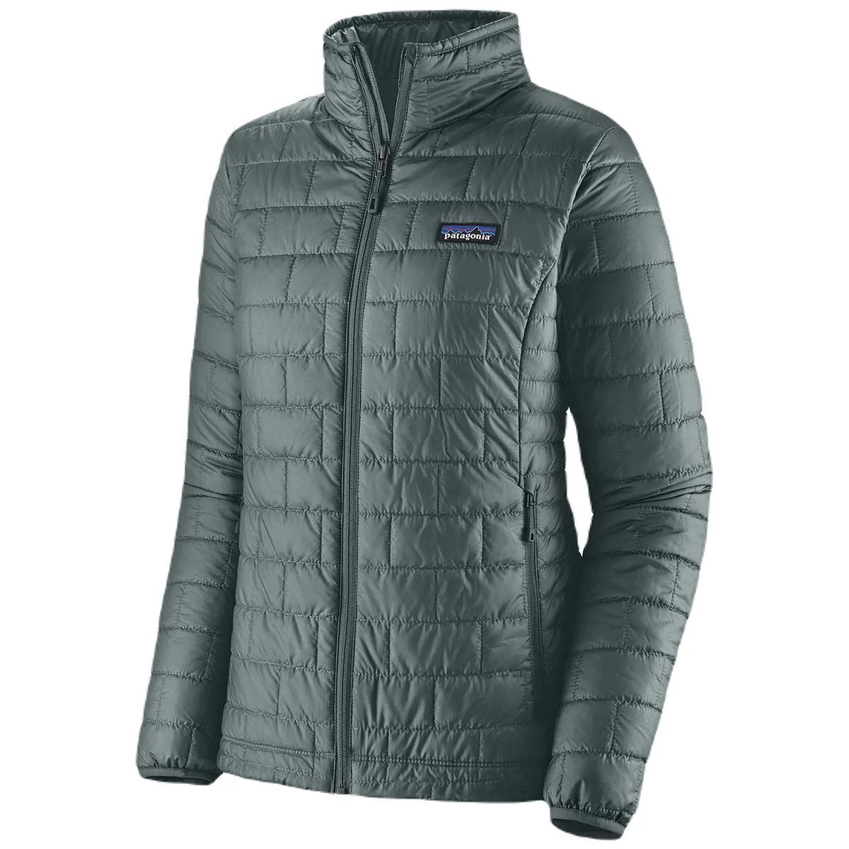 Patagonia Women's Nouveau Green Nano Puff Jacket